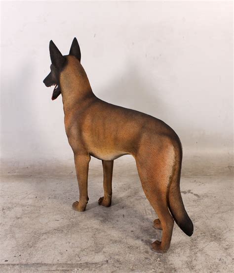 malinois statue|More.